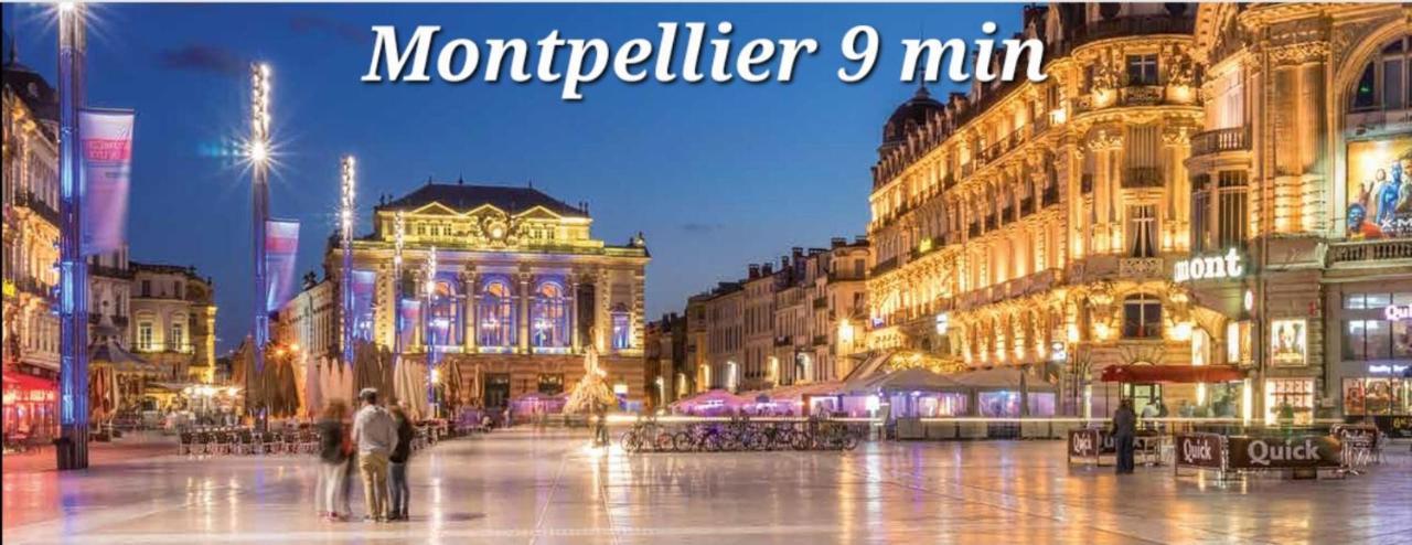 Logement Independant "Les Coquelicots", Terrasse Proche Des Plages Et Montpellier Жувиньяк Экстерьер фото